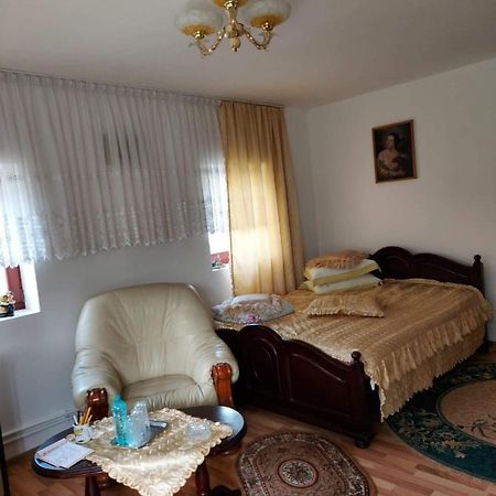 Casa Rodica Apartment วาตราดอร์เนย์ ภายนอก รูปภาพ