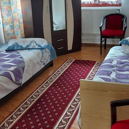 Casa Rodica Apartment วาตราดอร์เนย์ ภายนอก รูปภาพ