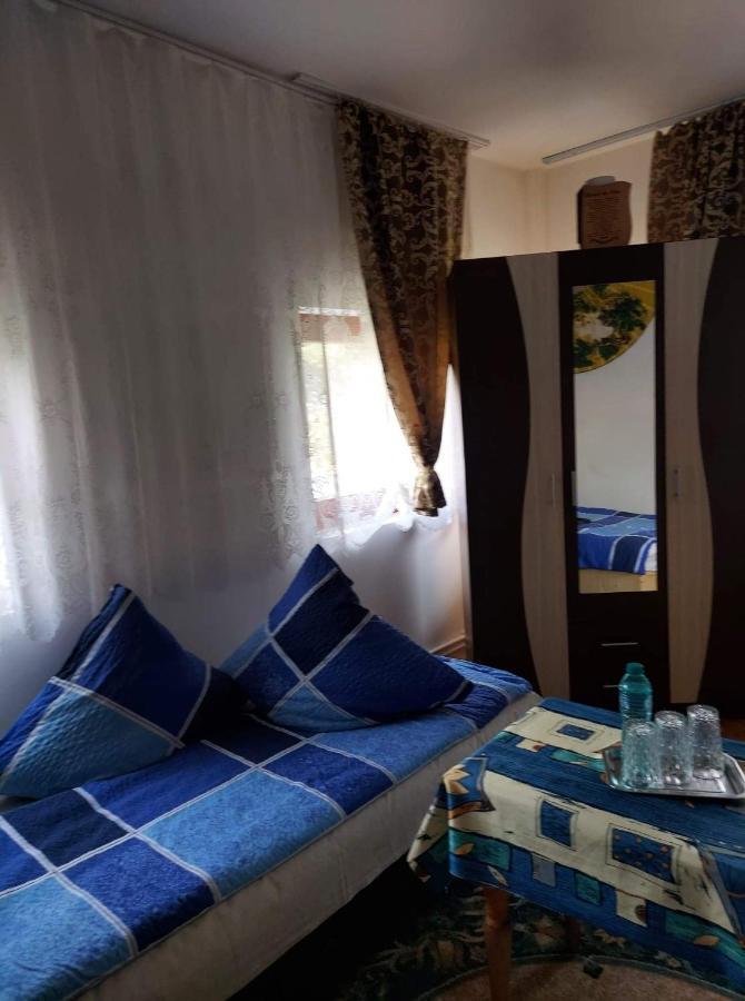 Casa Rodica Apartment วาตราดอร์เนย์ ภายนอก รูปภาพ