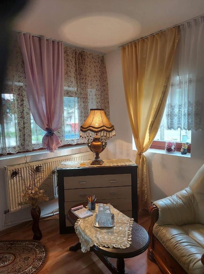 Casa Rodica Apartment วาตราดอร์เนย์ ภายนอก รูปภาพ