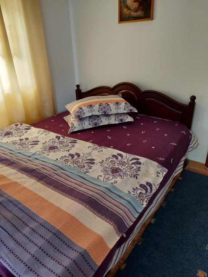 Casa Rodica Apartment วาตราดอร์เนย์ ภายนอก รูปภาพ